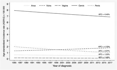 Epidemiology of human papillomavirus-associated anogenital cancers in Granada: a three-decade population-based study